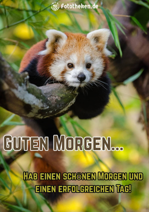 Hab einen schönen Morgen und einen erfolgreichen Tag!