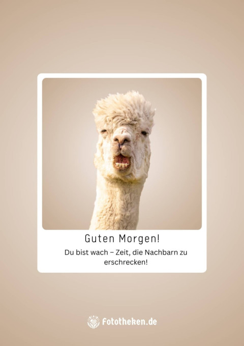 Guten Morgen! Du bist wach – Zeit, die Nachbarn zu erschrecken!