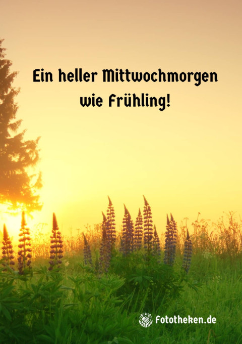 Ein heller Mittwochmorgen wie Frühling!