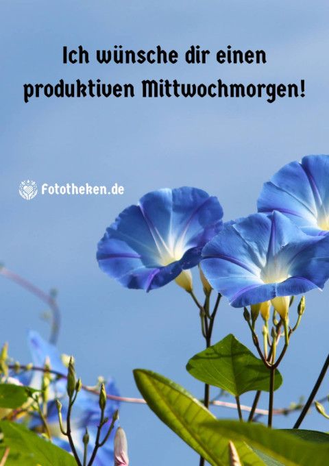 Ich wünsche dir einen produktiven Mittwochmorgen!