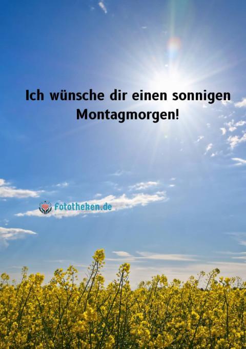Ich wünsche dir einen sonnigen Montagmorgen!