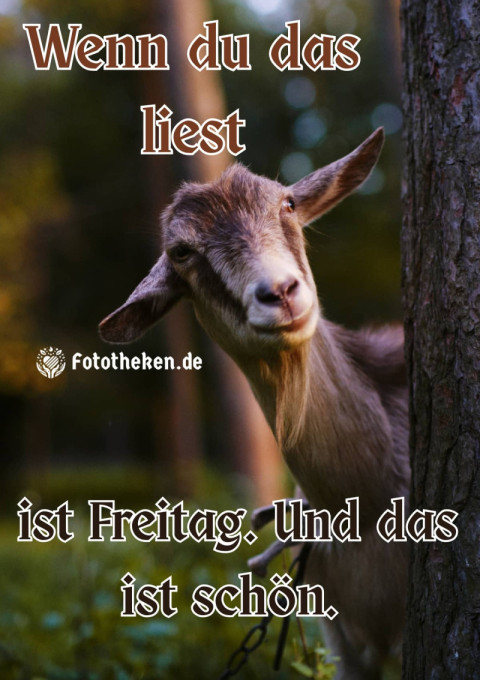 Wenn du das liest, ist Freitag  Und das ist schön