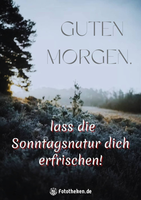 Guten Morgen, lass die Sonntagsnatur dich erfrischen!