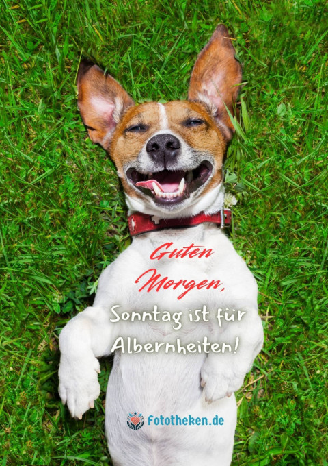 Guten Morgen, Sonntag ist für Albernheiten!