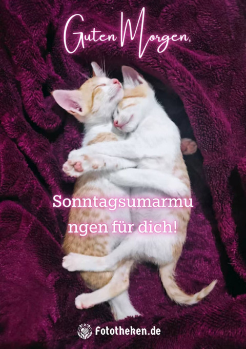 Guten Morgen, Sonntagsumarmungen für dich!