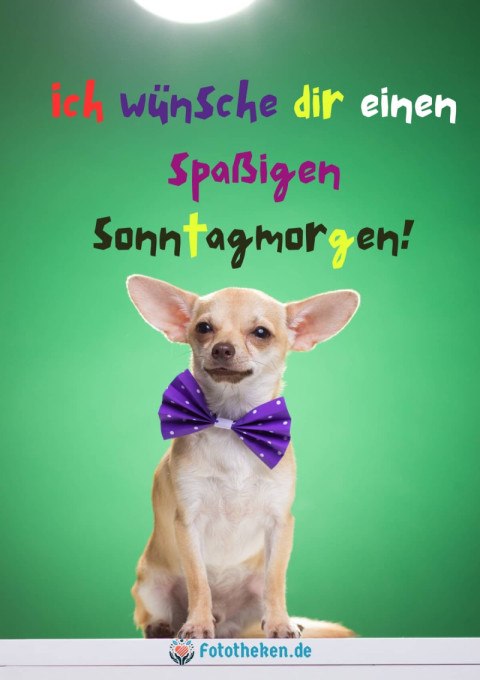 Ich wünsche dir einen spaßigen Sonntagmorgen!