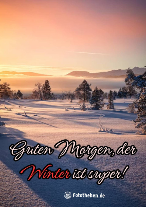 Guten Morgen, der Winter ist super!