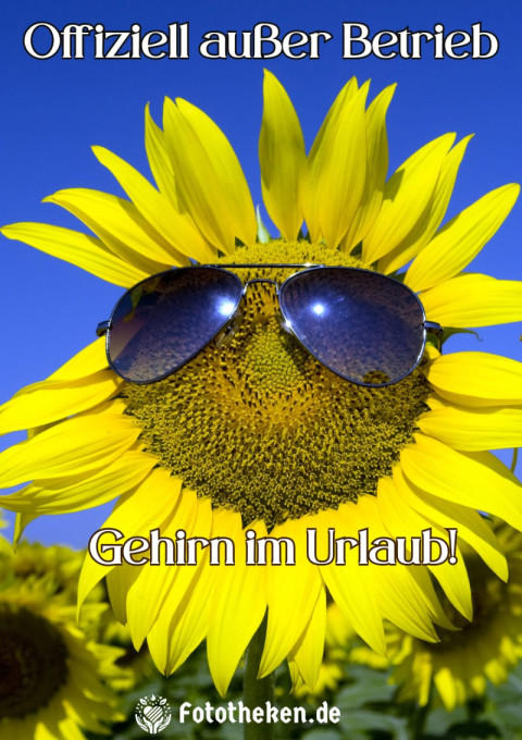 Offiziell außer Betrieb Gehirn im Urlaub!