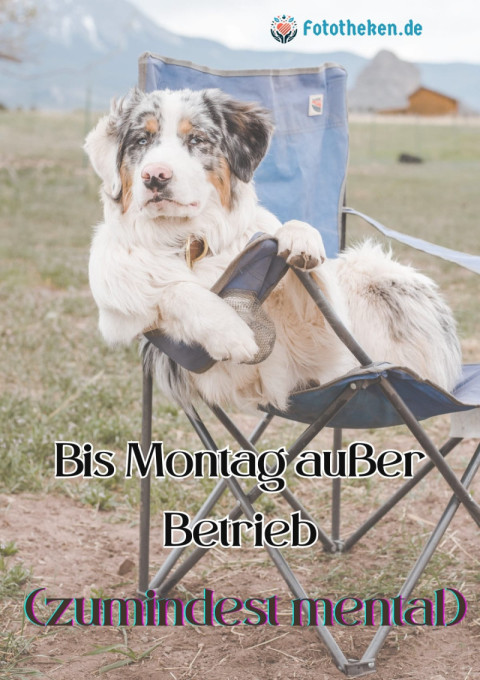 Bis Montag außer Betrieb (zumindest mental)