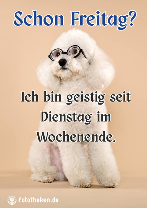 Schon Freitag Ich bin geistig seit Dienstag im Wochenende