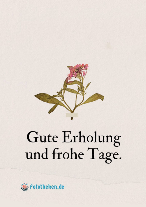 Gute Erholung und frohe Tage