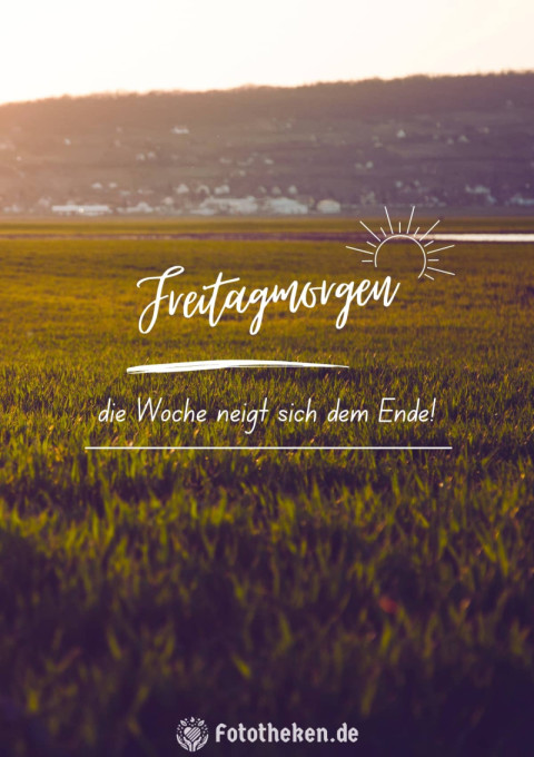 Freitagmorgen – die Woche neigt sich dem Ende!
