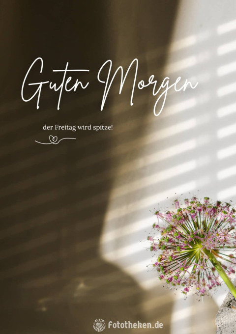 Guten Morgen, der Freitag wird spitze!