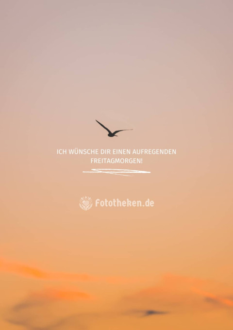 Ich wünsche dir einen aufregenden Freitagmorgen!
