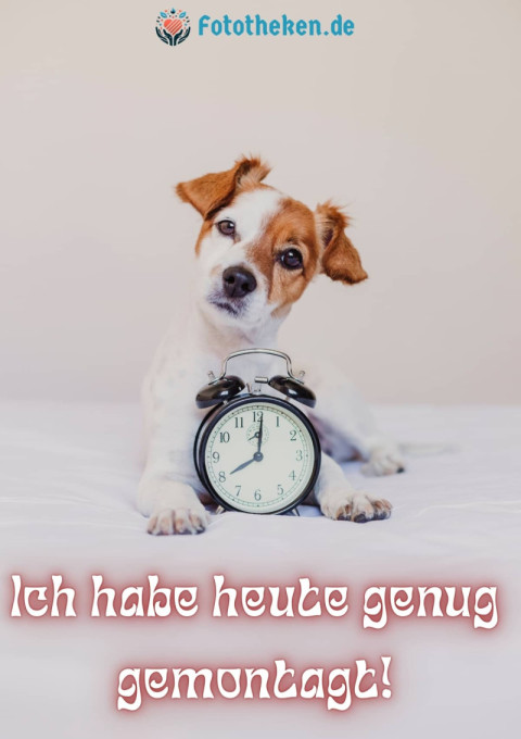 Ich habe heute genug gemontagt!