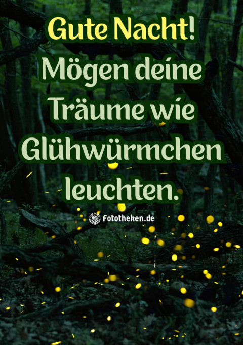 Gute Nacht! Mögen deine Träume wie Glühwürmchen leuchten