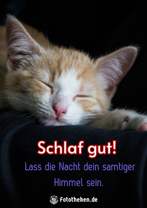 Schlaf gut! Lass die Nacht dein samtiger Himmel sein