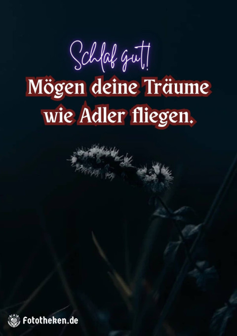 Schlaf gut! Mögen deine Träume wie Adler fliegen
