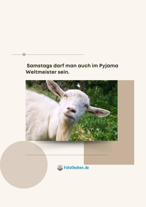 Samstags darf man auch im Pyjama Weltmeister sein