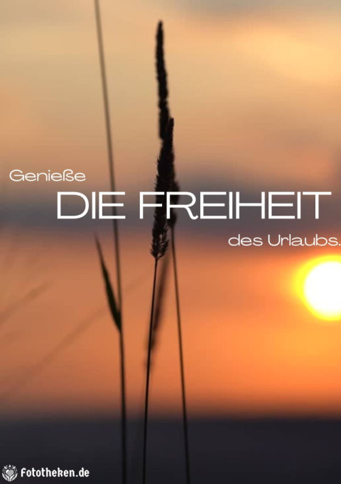 Genieße die Freiheit des Urlaubs