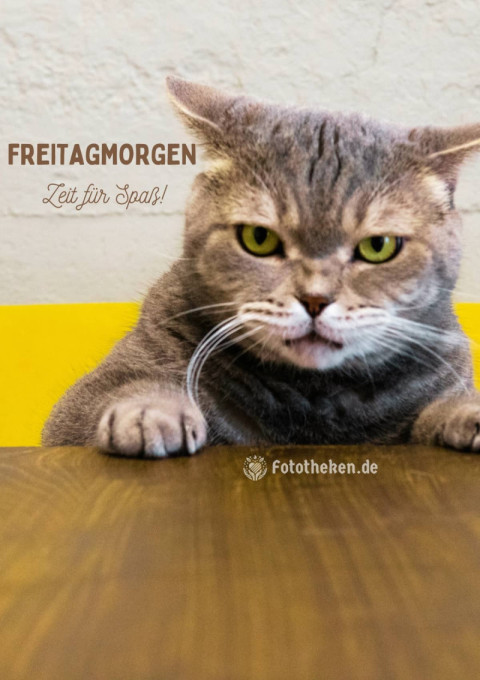 Freitagmorgen – Zeit für Spaß!