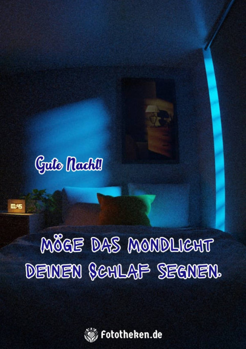 Gute Nacht! Möge das Mondlicht deinen Schlaf segnen
