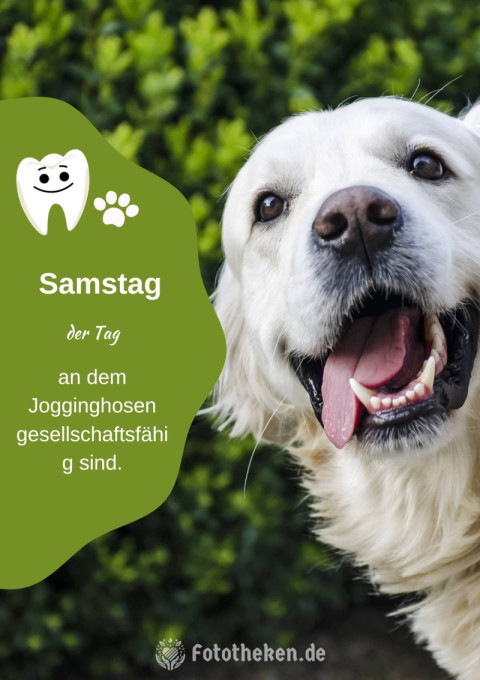 Samstag – der Tag, an dem Jogginghosen gesellschaftsfähig sind