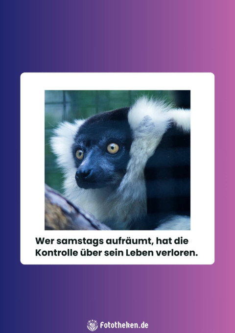 Wer samstags aufräumt, hat die Kontrolle über sein Leben verloren