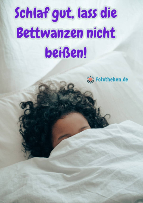 Schlaf gut, lass die Bettwanzen nicht beißen!