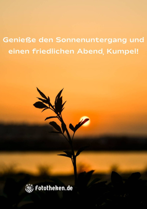 Genieße den Sonnenuntergang und einen friedlichen Abend, Kumpel!