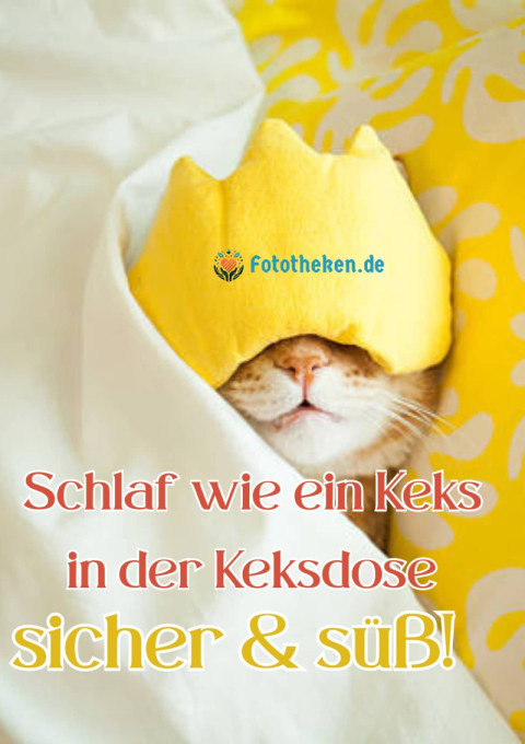 Schlaf wie ein Keks in der Keksdose – sicher & süß!