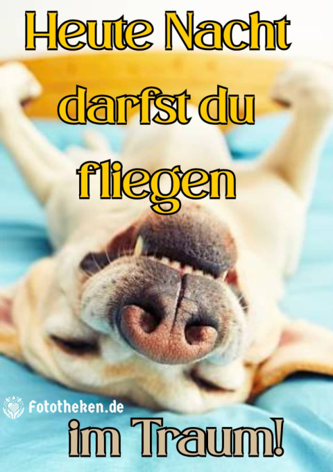 Heute Nacht darfst du fliegen – im Traum!