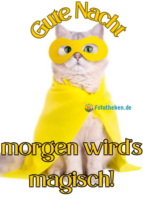 Gute Nacht – morgen wird’s magisch!