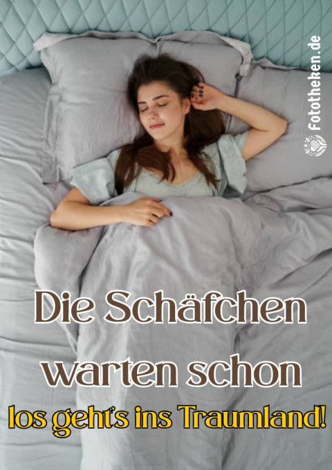 Die Schäfchen warten schon – los geht’s ins Traumland!