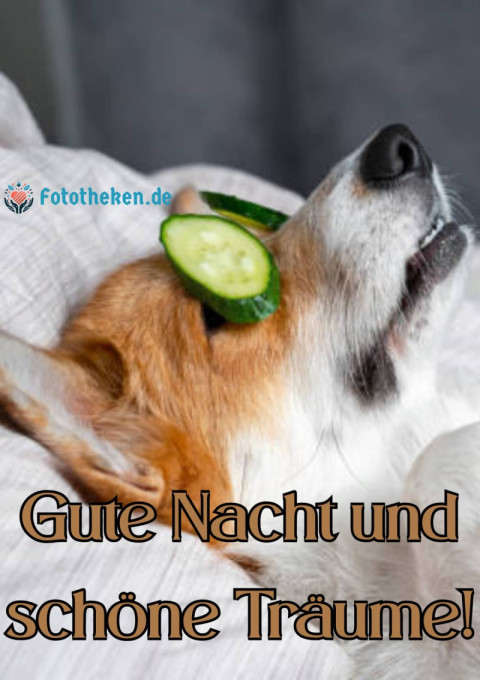Gute Nacht und schöne Träume!