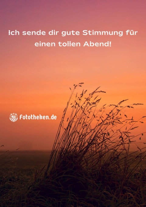 Ich sende dir gute Stimmung für einen tollen Abend!