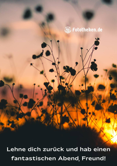 Lehne dich zurück und hab einen fantastischen Abend, Freund!