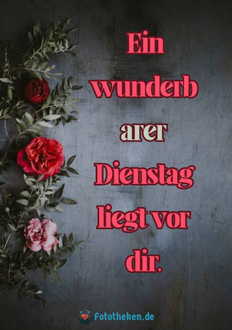 Ein wunderbarer Dienstag liegt vor dir