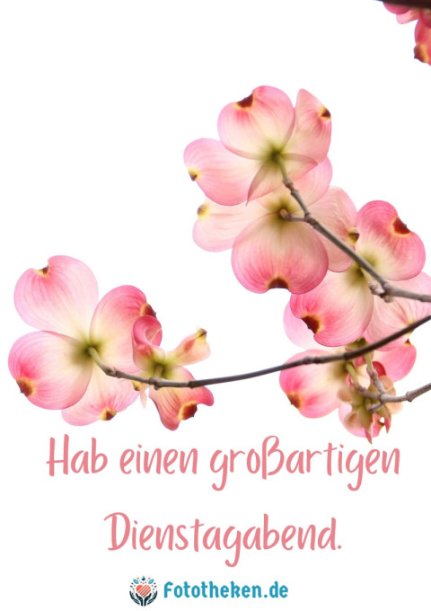 Hab einen großartigen Dienstagabend