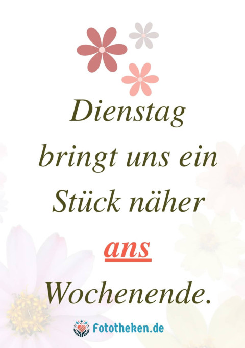 Hab einen leuchtenden Dienstag