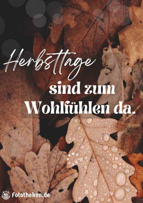 Herbsttage sind zum Wohlfühlen da