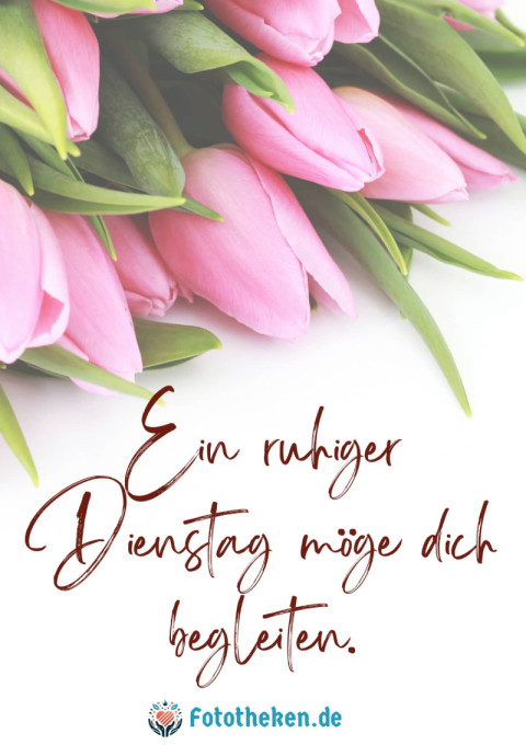 Ein ruhiger Dienstag möge dich begleiten