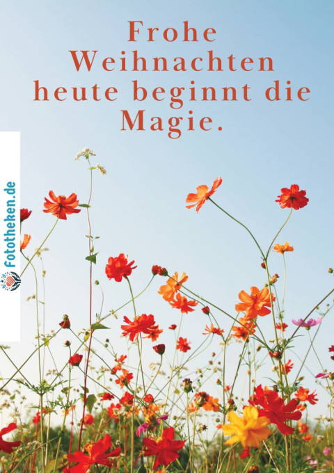 Frohe Weihnachten – heute beginnt die Magie