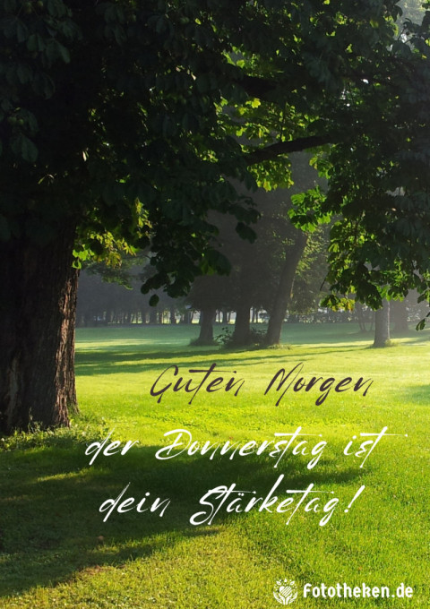 Guten Morgen, der Donnerstag ist dein Stärketag!