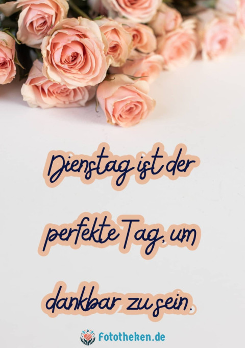 Dienstag ist der perfekte Tag, um dankbar zu sein