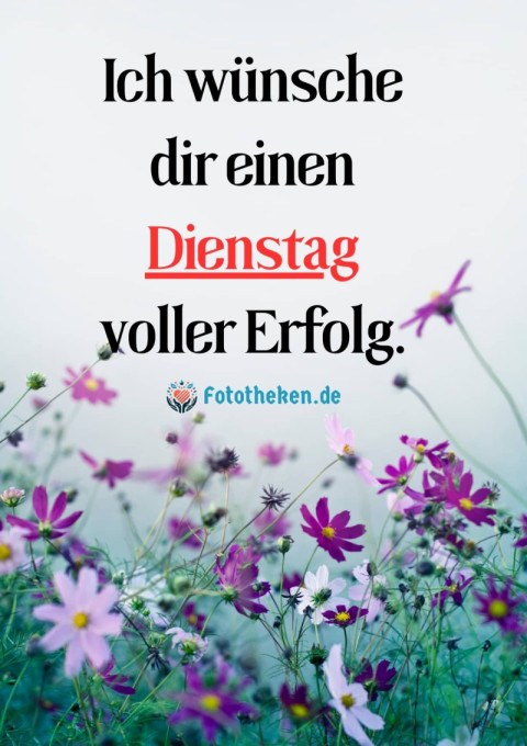 Ich wünsche dir einen Dienstag voller Erfolg