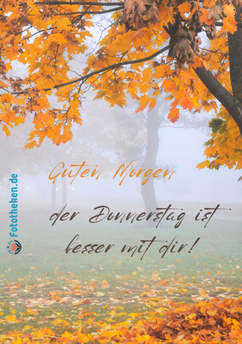 Guten Morgen, der Donnerstag ist besser mit dir!