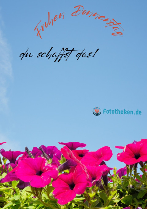 Frohen Donnerstag, du schaffst das!