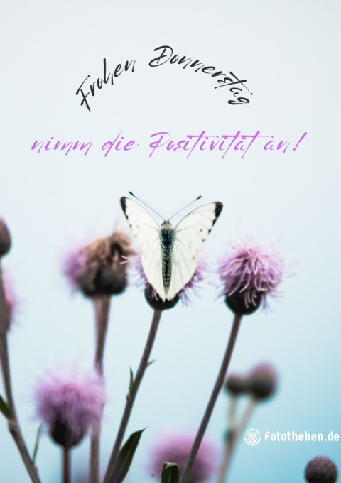Frohen Donnerstag, nimm die Positivität an!