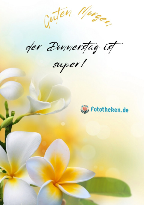 Guten Morgen, der Donnerstag ist super!